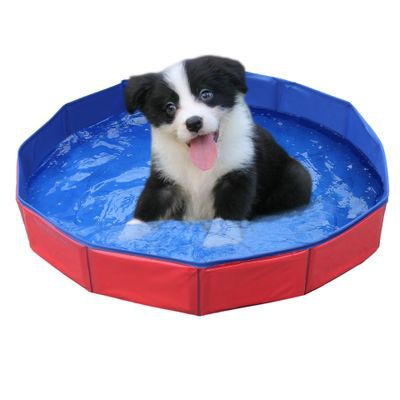 Pet Bathtub Dog Swimming Pool